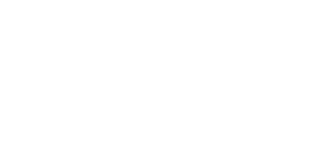 Wilde Irish Chocolates logo white