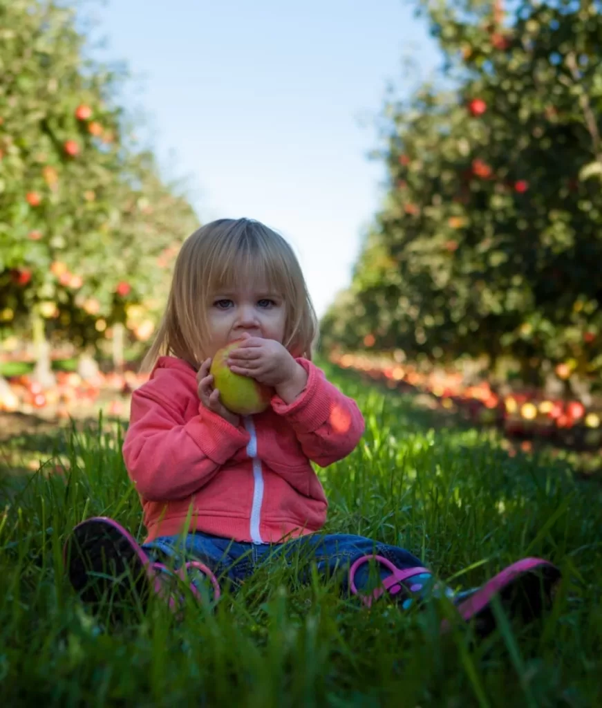 A child sits on the grass eating an apple.